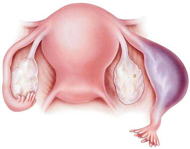 天津供卵自怀代怀（天津供卵机构有吗）