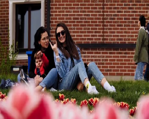 找上海试管婴儿代怀中介多少钱？