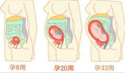 解析云南借卵代怀试管医院排名与费用，助您了解助孕之路